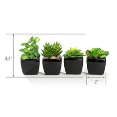 Nattol Modern Mini Artificial Succulent 11.0L x 3.0W x 4.3H inches, Black