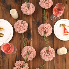 2 Pcs Pink Tissue Paper Pom Pom Garlands, Paper Flowers for Birthday Decorations