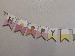 Happy Birthday Banner 6 foot cord pastel multi colored