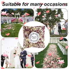 Dried Flower Petals 12 Packs Biodegradable Confetti Real Rose Wedding Decor