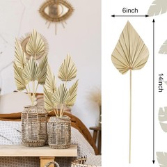 Cenkaiyang 10 Pcs Boho Dried Palm Spears Leaves, Real Fans with Natural