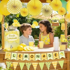 14pcs Lemonade Stand Party Decorations – Banners, Swirls, Paper Fans, Summer The
