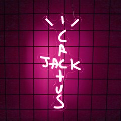 Cactus Jack Neon Sign, LED Light for Home Bar, Party Decor Usb Powered Decor Bar