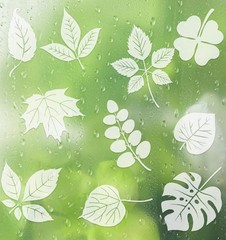 Window Clings for Birds, 26 Pcs Decals to Prevent Bird Strikes Clear