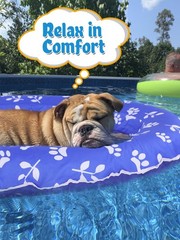 Upgraded Tear-Resistant Dog Pool Float – 25″ x 41″ Stable Support Inflatable …