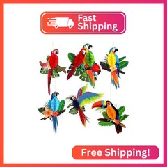 6 Pieces Tropical Birds Parrot Honeycomb Cutouts – Hawaiian Luau Tropical Party