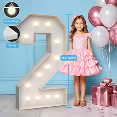4FT Marquee Light up Numbers 2,Party Decoration Large Marquee Light up Letters w