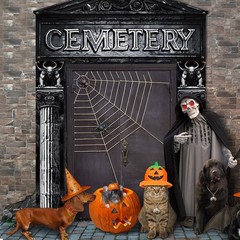3 Pcs Halloween Cemetery Archway Halloween Cemetery Door Banners Decorations …