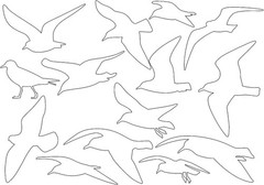 Holographic Window Decals for Bird Strikes – Glass Reminder Clear