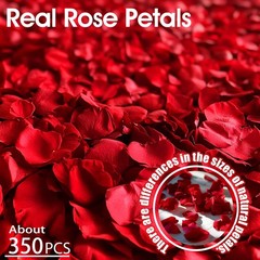340 PCS Real Red Rose Petals, 3.17oz Dried Flower Confetti Petals for Wedding…