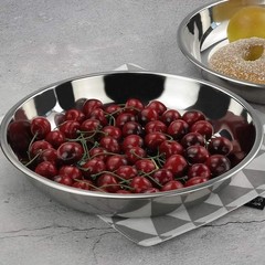 Hommp 4-Pack 10 INCHES Stainless Diameter: 10 inch; Depth: 1.6 inch, Silver