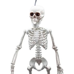 Wicked Costumes – Pose-able Skeleton (60cm) – Party Decoration