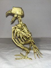 CROW SKELETON BIRD Poseable Halloween Prop Decoration 7.25″ Distressed FLAW