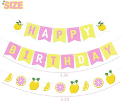 Lemon Party Decorations Happy Birthday Banner Lemon Garland Lemonade Cake Topper
