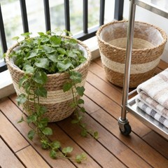 3 Piece Lined Wicker Plant Basket Set 18 22 25 cm Natural Seagrass Decor