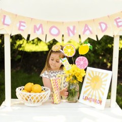 24 PCS Pink Lemonade Centerpieces Sticks Lemon Citrus Table Topper Party Decor