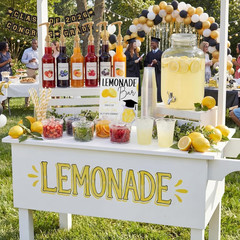 43 Pcs 2026 Graduation Freshly Lemonade Stand Complete Accessories Kit Lemon Bar