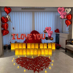 Will You Be My Girlfriend Lighted Letters Sign 21pcs Luminary Paper Bags 2200pcs