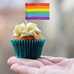 100 Pcs Rainbow Pride Toothpick Flag,Gay LGBTQ Mini Rainbow Gay Pride Toothpi…
