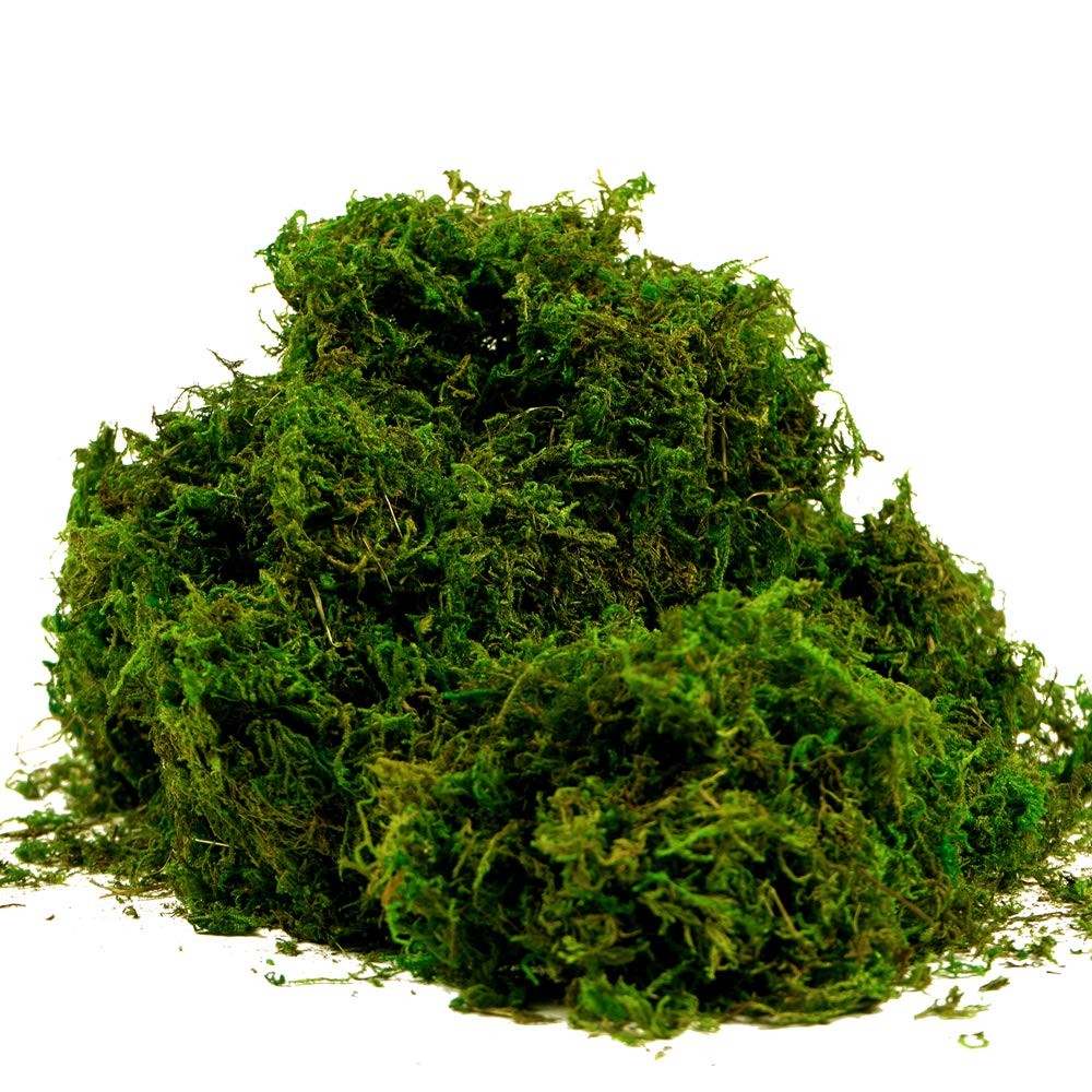 BYHER Artificial Moss Fake Green 10 inches x 4 x 3 inches, 8oz, Fresh