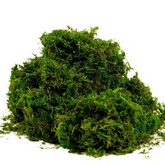 BYHER Artificial Moss Fake Green 10 inches x 4 x 3 inches, 8oz, Fresh