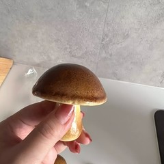 18X Simulation Mushroom Model Photography Props, Sand Table Decorations Random