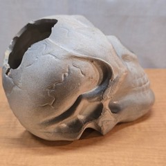 Plastic Human Skull Small 5″ Decoration Halloween Gothic