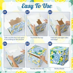 Hushee 6 Pcs Large Capri Lemon Party Decorations Boxes 12 Inch Amalfi Coast