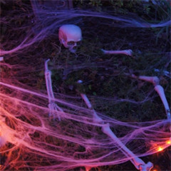 2 Pack Stretchable Spider Web + 2 Fake Spiders Halloween Party Decor Cobweb Prop