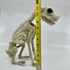 Halloween Dog Skeleton Canine Werewolf Prop Scary Haunted House Decoration 12″