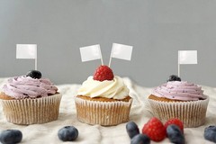 QQSD Solid White Toothpick Flag DIY Blank Flag Small Mini Plain White Cupcake…