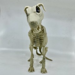 Halloween Dog Skeleton Canine Werewolf Prop Scary Haunted House Decoration 12″