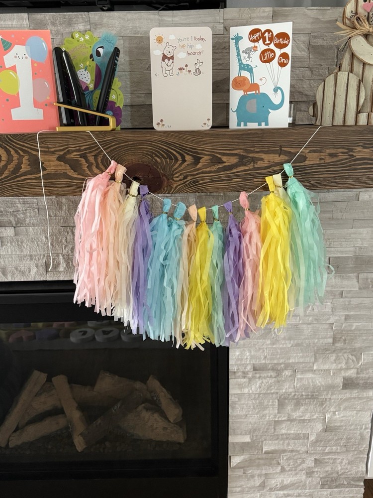 Pastel Rainbow Tissue Paper Tassel Garland for Party, Birthday, Wedding, Shower