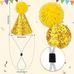 Mini Glitter Birthday Party Hats, 10 Pcs Multicolor Cone Hats for Kids & Pets