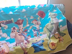 Toy Story Vinal Party Back Drop