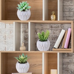 Winlyn Set of 3 Artificial Succulents Plants in Mini Gray and White Pots
