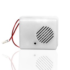 Halloween Sound Sensor Scream Speaker Scary Voice-Activated Party Prop