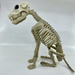 Halloween Dog Skeleton Canine Werewolf Prop Scary Haunted House Decoration 12″