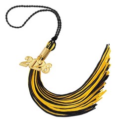 2026 Graduation Tassel Charms for HS College Cap Hat Accessory Multiple colors