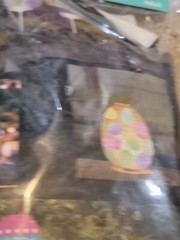 Easter Egg LED Lanterns 6 Pieces Lights Up! Happy Easter, Eggs Decoration