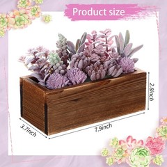 Solsew Assorted Artificial Succulent 7.87 x 3.94 x 2.76 inches, Purple