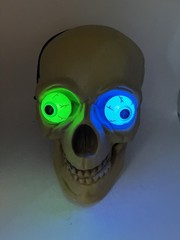 Halloween Plastic Blow Mold Skull Light-Up Color Change Eyes Skeleton Head