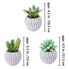 Winlyn Set of 3 Artificial Succulents Plants in Mini Gray and White Pots