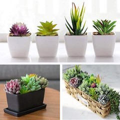 Anoak Artificial Succulent Plants – 16 Pcs Set Faux Green,multi-color