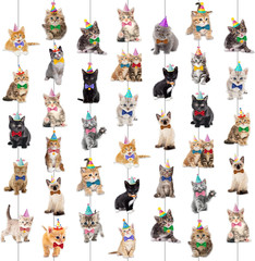 Cat Theme Garlands Kitten Birthday Party Decorations 8PCS Pet Cat Hanging Paper