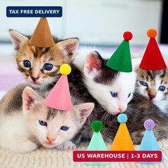 10 Pcs Mini Birthday Party Hats Multicolor Lovely Cone Hats for Animals Stuffed