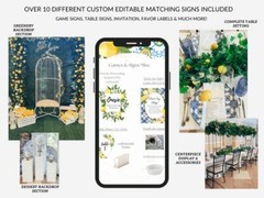 Step by Step DIY Baby Shower Gender Reveal Party Planner Decor Guide