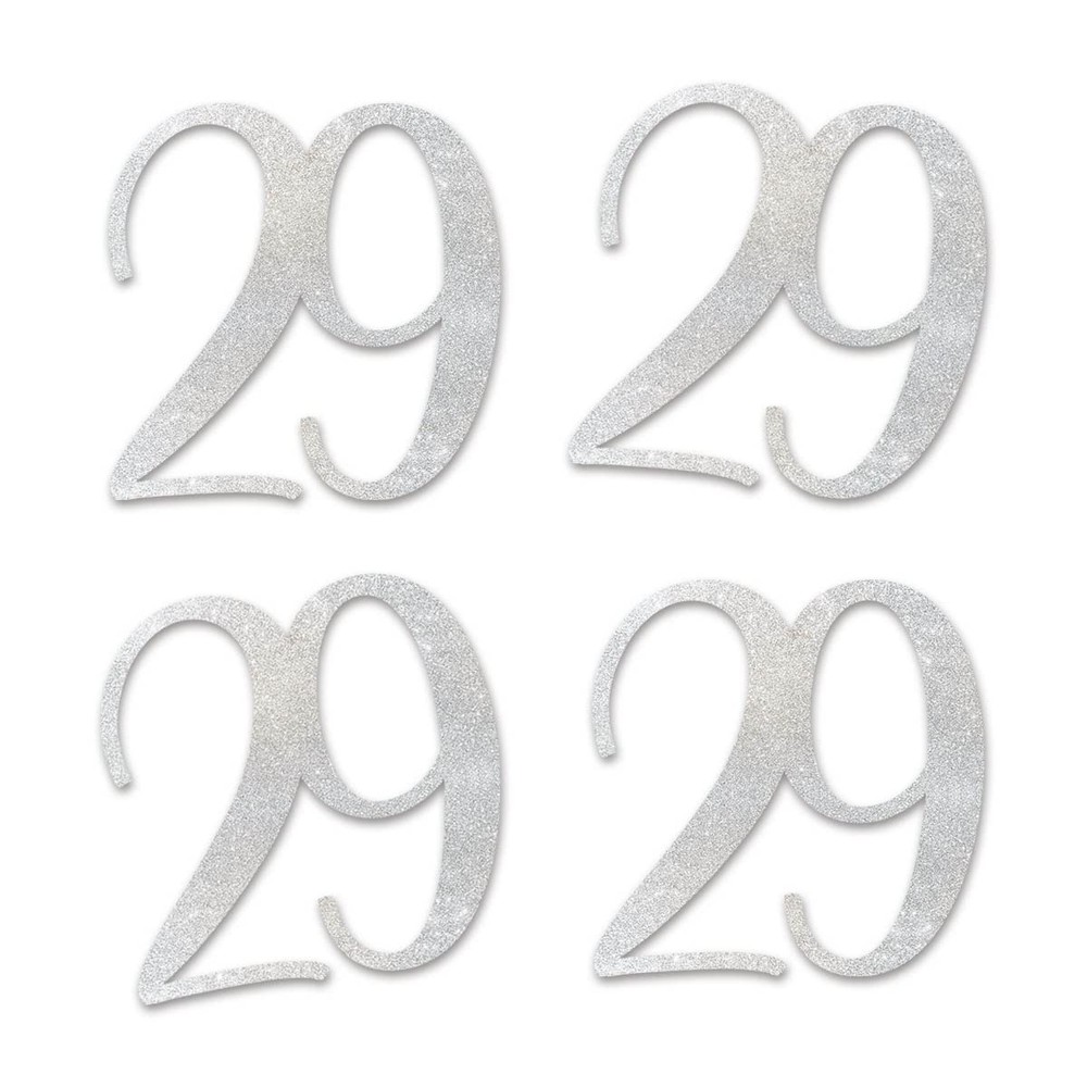 Silver Glitter 29 CutOut Numbers 29th Birthday Anniversary Party Decor