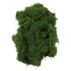 Natural 500g Artificial Moss for DIY Crafts Garden and Indoor Decoration