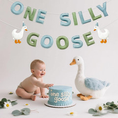 One Silly Goose Birthday Decorations Sage Green Dusty Blue Felt Handmade Pre-Str
